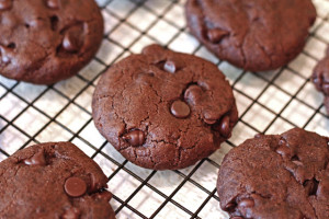 Gluten Free Vegan Chocolate Chocolate Chip Cookies. Double the chocolate goodness!
