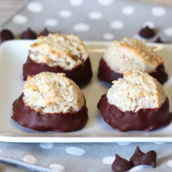 gluten free vegan chocolate-dipped macaroons and pascha chocolate giveaway!