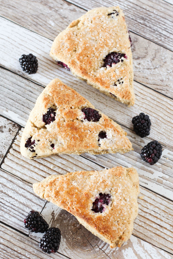 Gluten Free Vegan Blackberry Scones. Fresh blackberries, nestled into a tender fresh-baked scone.