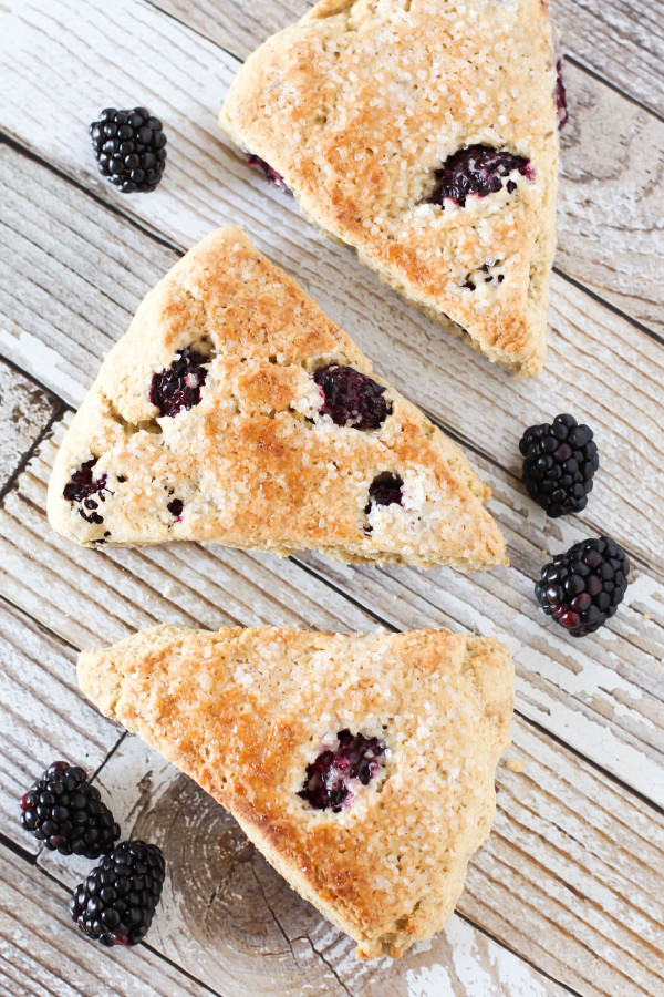 Gluten Free Vegan Blackberry Scones. Fresh blackberries, nestled into a tender fresh-baked scone.