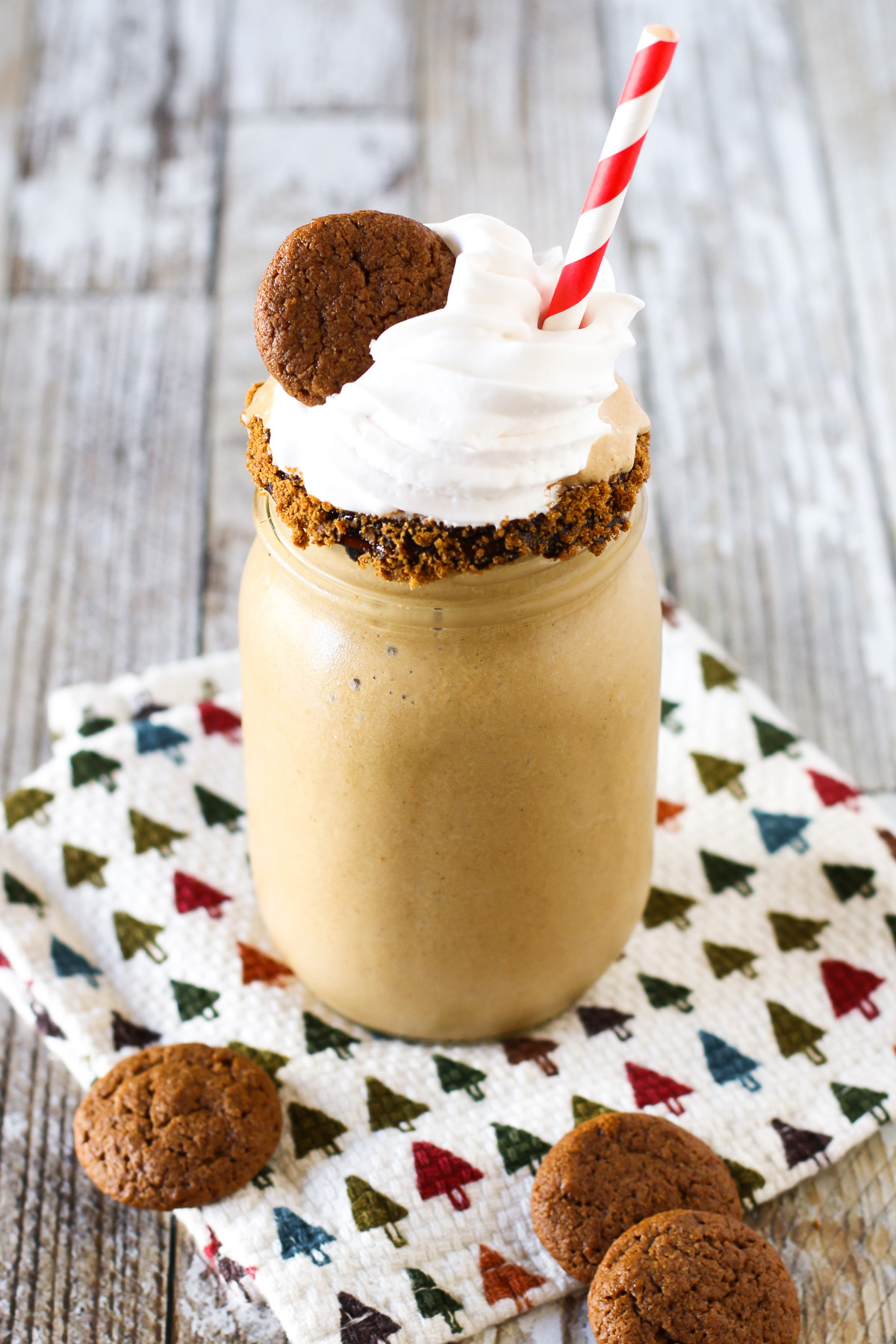 Gluten Free Dairy Free Gingerbread Milkshake. This holiday milkshake has sugar, spice and everything nice!