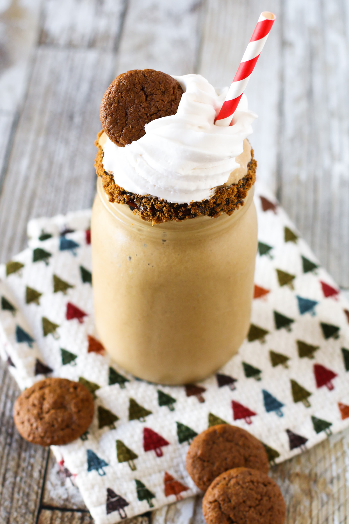 Gluten Free Dairy Free Gingerbread Milkshake. This holiday milkshake has sugar, spice and everything nice!