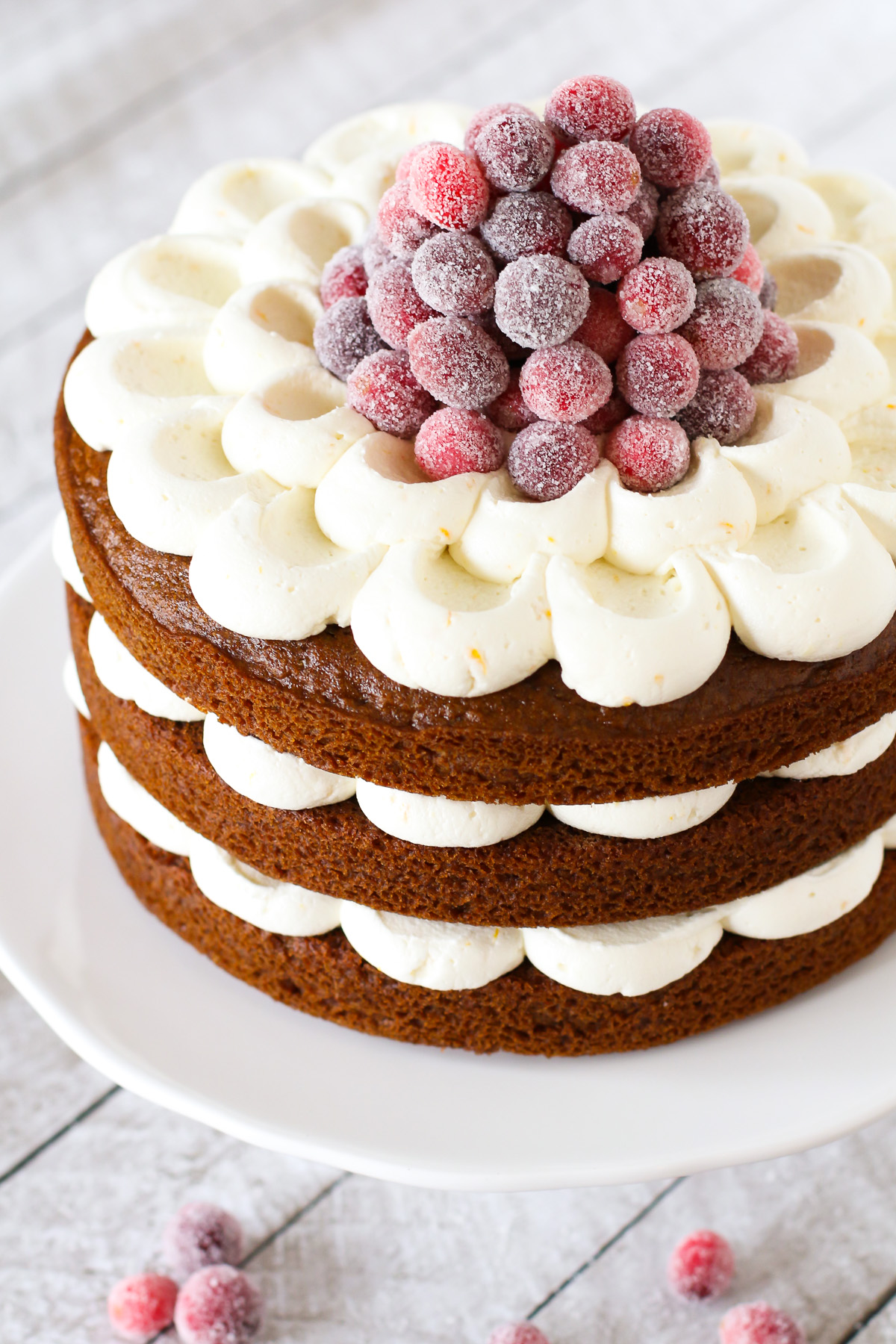 Gluten Free Vegan Gingerbread Layer Cake with Sugared Cranberries. Layers of gingerbread spice cake and dairy free orange buttercream, topped with a mountain of beautiful sugared cranberries!