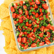 vegan 7 layer bean dip